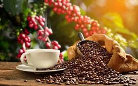 Exporting coffee to Northern Europe - Potential and challenges