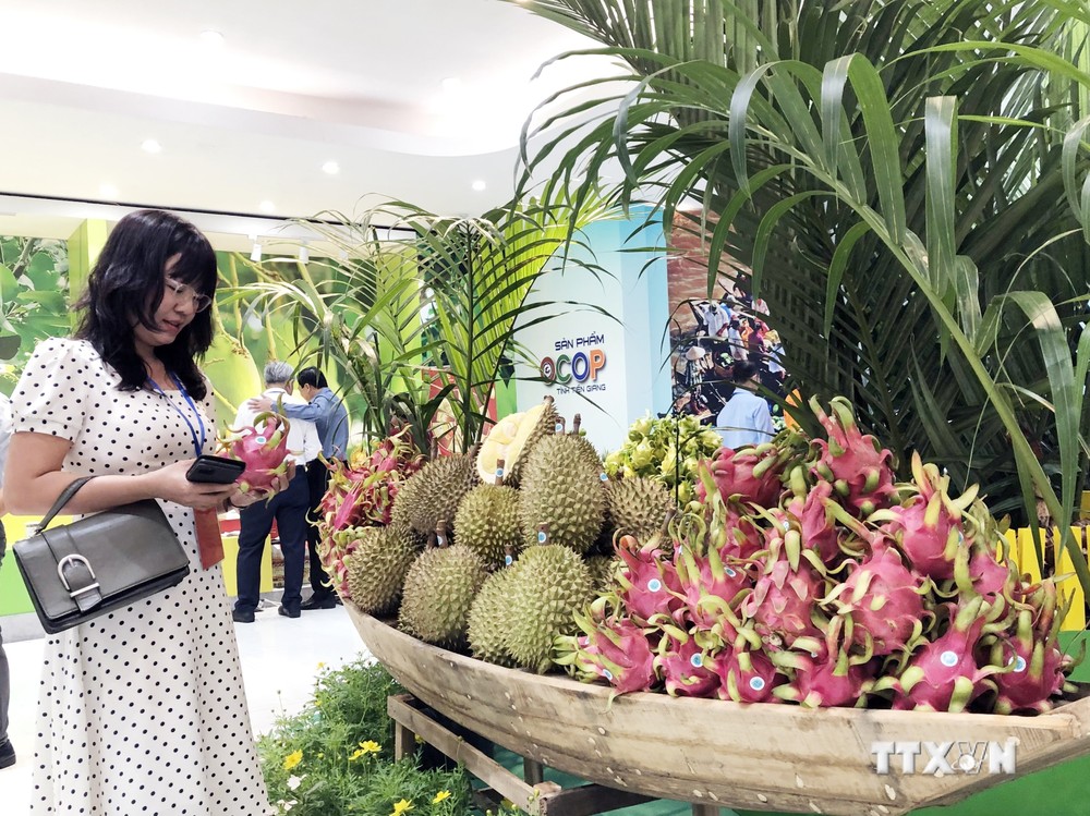 In 2025, basically the area of ​​Tien Giang specialty fruit trees will be granted an export growing area code